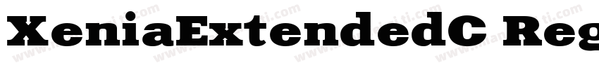 XeniaExtendedC Regul字体转换